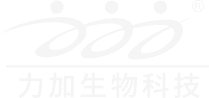 50net永乐高集团