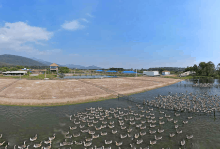 50net永乐高集团